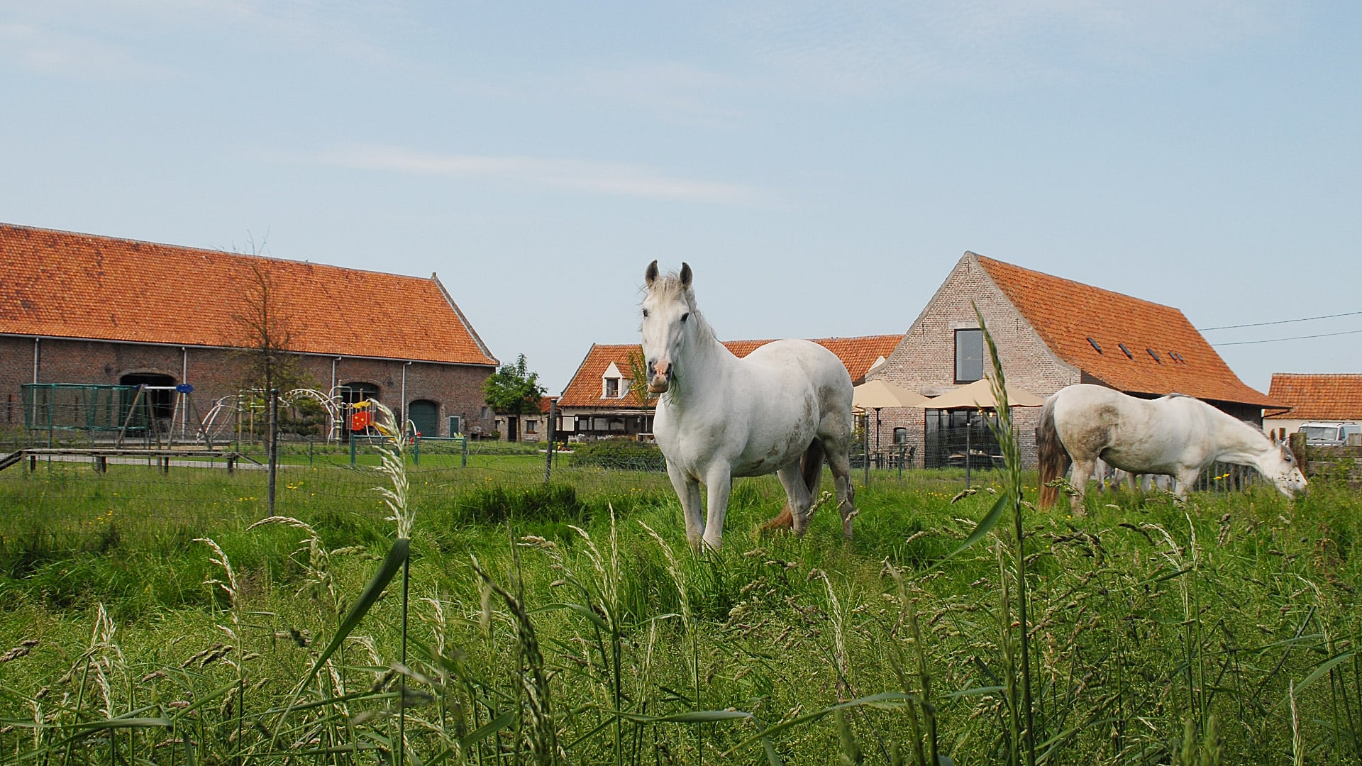 De Hoeve - De Kruishoeve