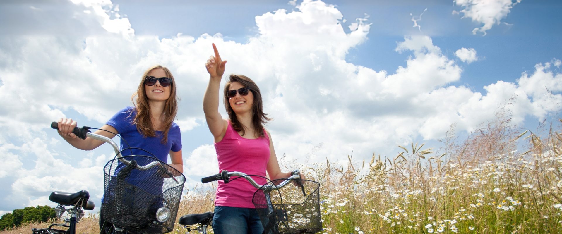 Polders en natuur De Kruishoeve De Haan - fietsen bloemenveld
