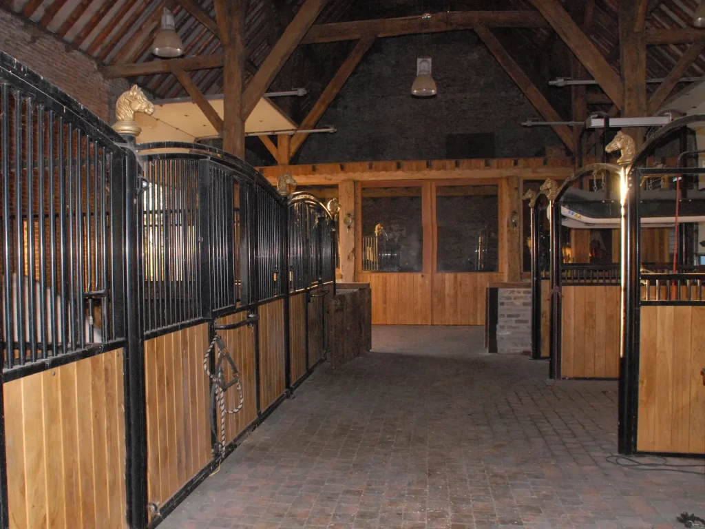 Paard en ruiter op het strand bij De Kruishoeve De Haan