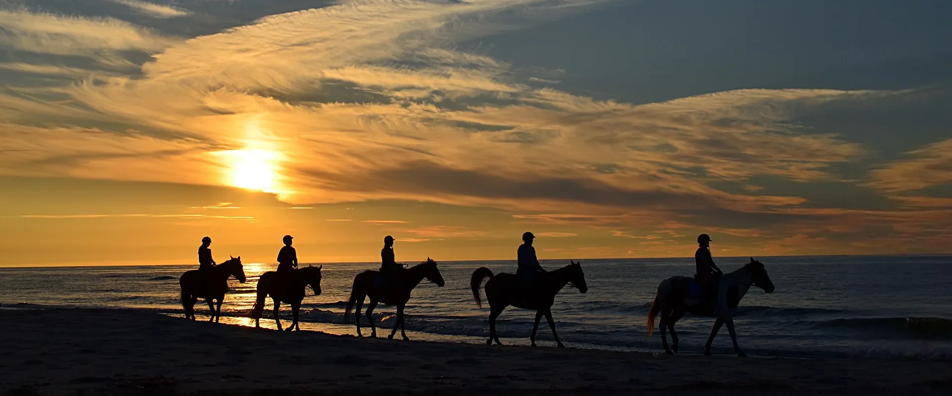 Paarden en ruiters De Kruishoeve De Haan