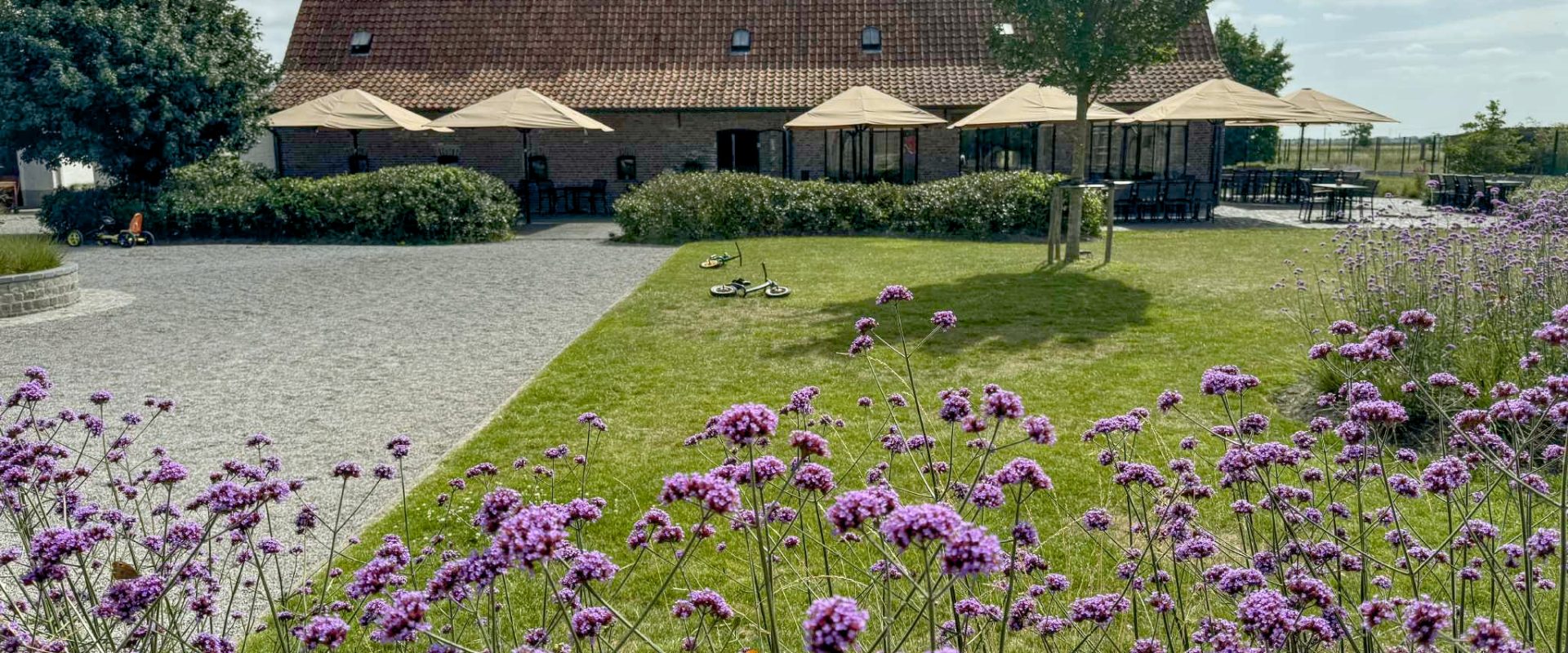 Het Buitenleven De Kruishoeve De Haan - Hoeve tuin verbena