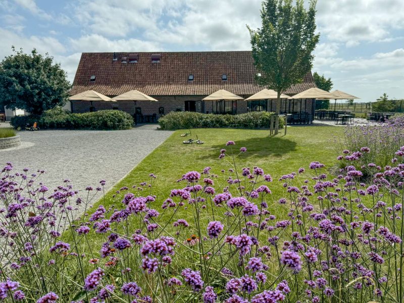 Het Buitenleven De Kruishoeve De Haan - Hoeve tuin verbena