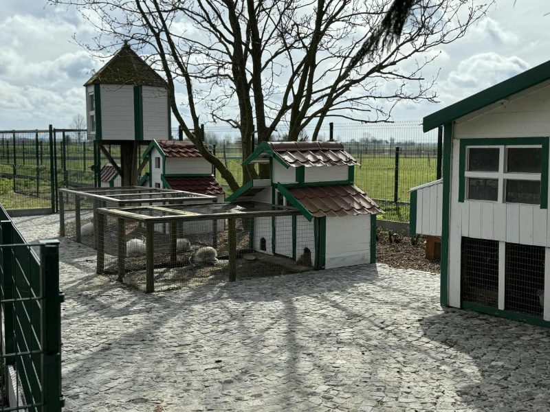 Het Buitenleven De Kruishoeve De Haan - Kippenren dierenverblijf